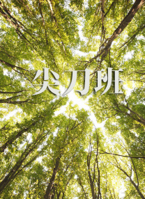播放黄色录像